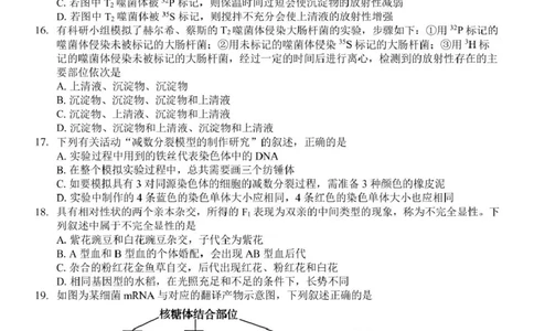 浙江省浙东北县域名校发展联盟2024-2025学年高一下学期4月期中生物试题_2025年05月试卷_0521浙江省浙东北县域名校发展联盟（ZDB）2024-2025学年高一下学期4月期中考试