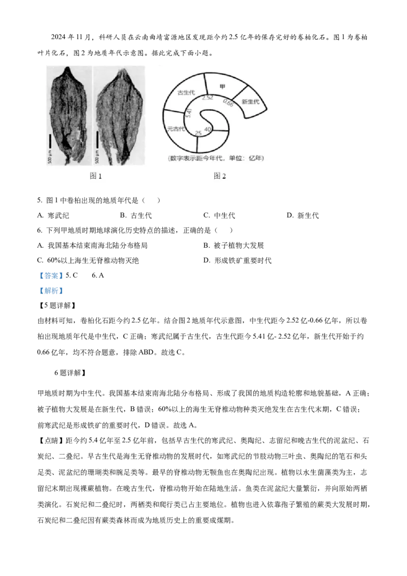 浙江省杭州市2024-2025学年高一上学期1月期末地理试题Word版含解析_2025年02月试卷_0226浙江省杭州市2024-2025学年高一上学期1月期末考试