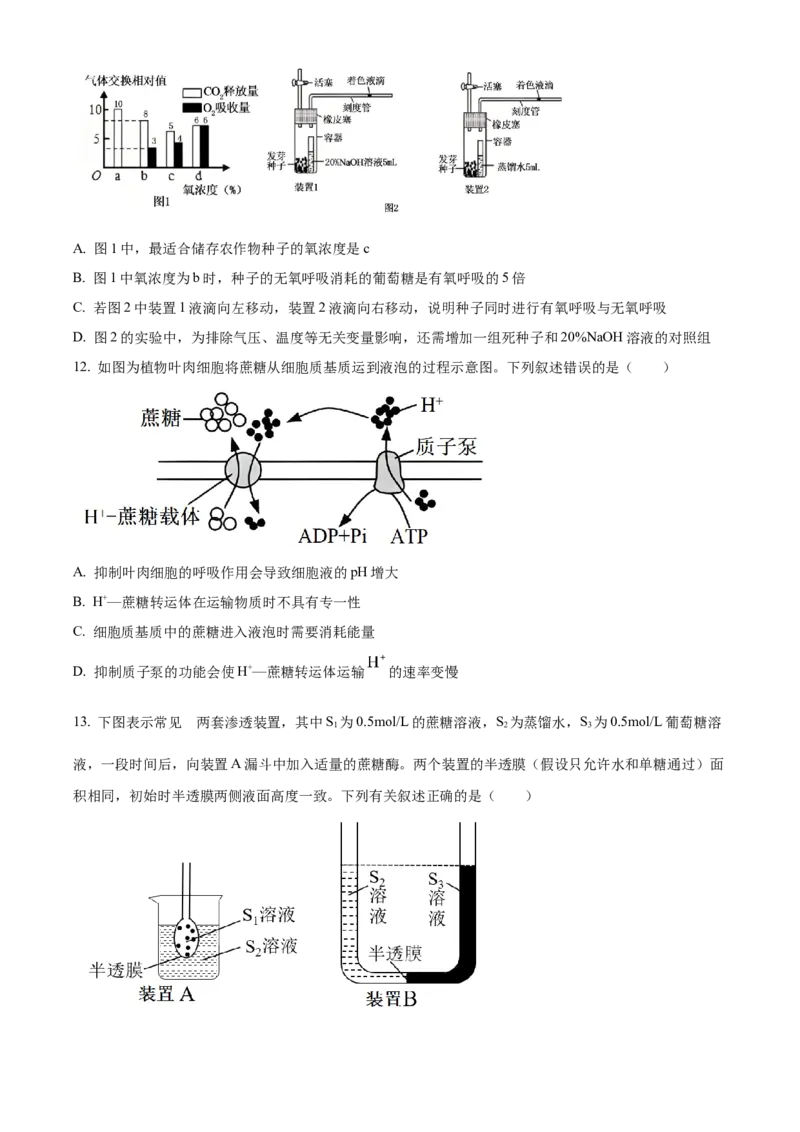 湖北省武昌实验中学2025-2026学年高一上学期十二月月考生物试卷（原卷版）_2026年01月高一试卷_260112湖北省武汉市武昌实验中学2025-2026学年高一上学期12月月考