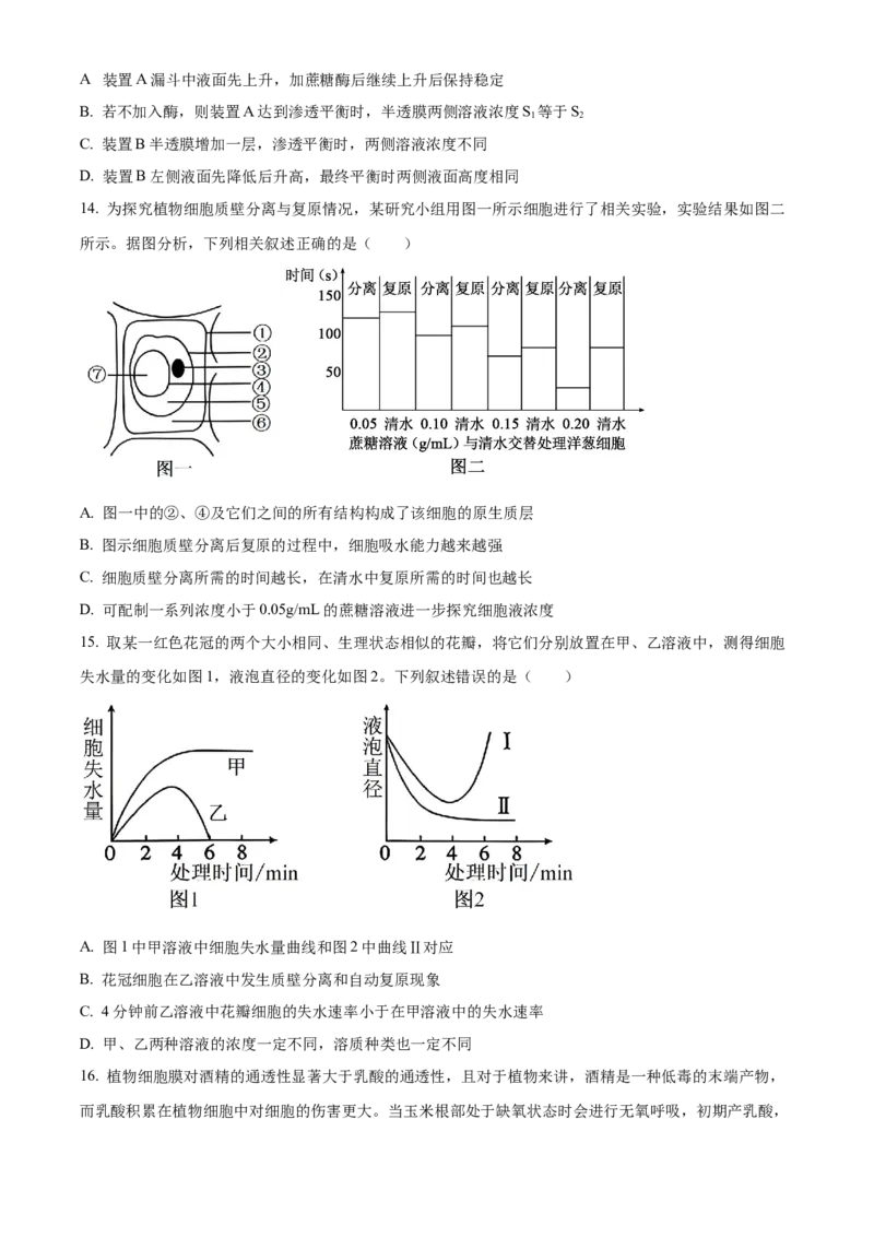 湖北省武昌实验中学2025-2026学年高一上学期十二月月考生物试卷（原卷版）_2026年01月高一试卷_260112湖北省武汉市武昌实验中学2025-2026学年高一上学期12月月考