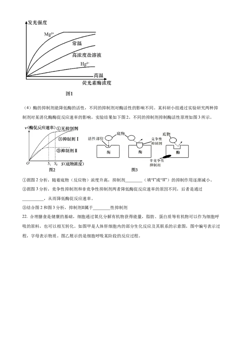 湖北省武昌实验中学2025-2026学年高一上学期十二月月考生物试卷（原卷版）_2026年01月高一试卷_260112湖北省武汉市武昌实验中学2025-2026学年高一上学期12月月考