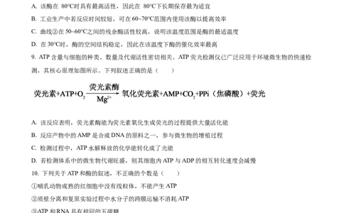 湖北省武昌实验中学2025-2026学年高一上学期十二月月考生物试卷（原卷版）_2026年01月高一试卷_260112湖北省武汉市武昌实验中学2025-2026学年高一上学期12月月考