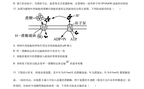 湖北省武昌实验中学2025-2026学年高一上学期十二月月考生物试卷（原卷版）_2026年01月高一试卷_260112湖北省武汉市武昌实验中学2025-2026学年高一上学期12月月考