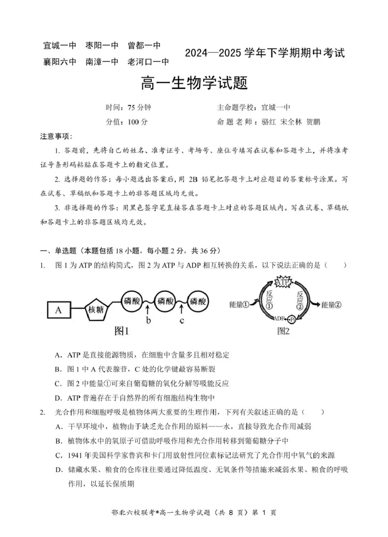 湖北省鄂北六校2024-2025学年度高一下学期期中联考生物试题_2025年04月试卷_0426湖北省鄂北六校2024-2025学年高一下学期期中联考
