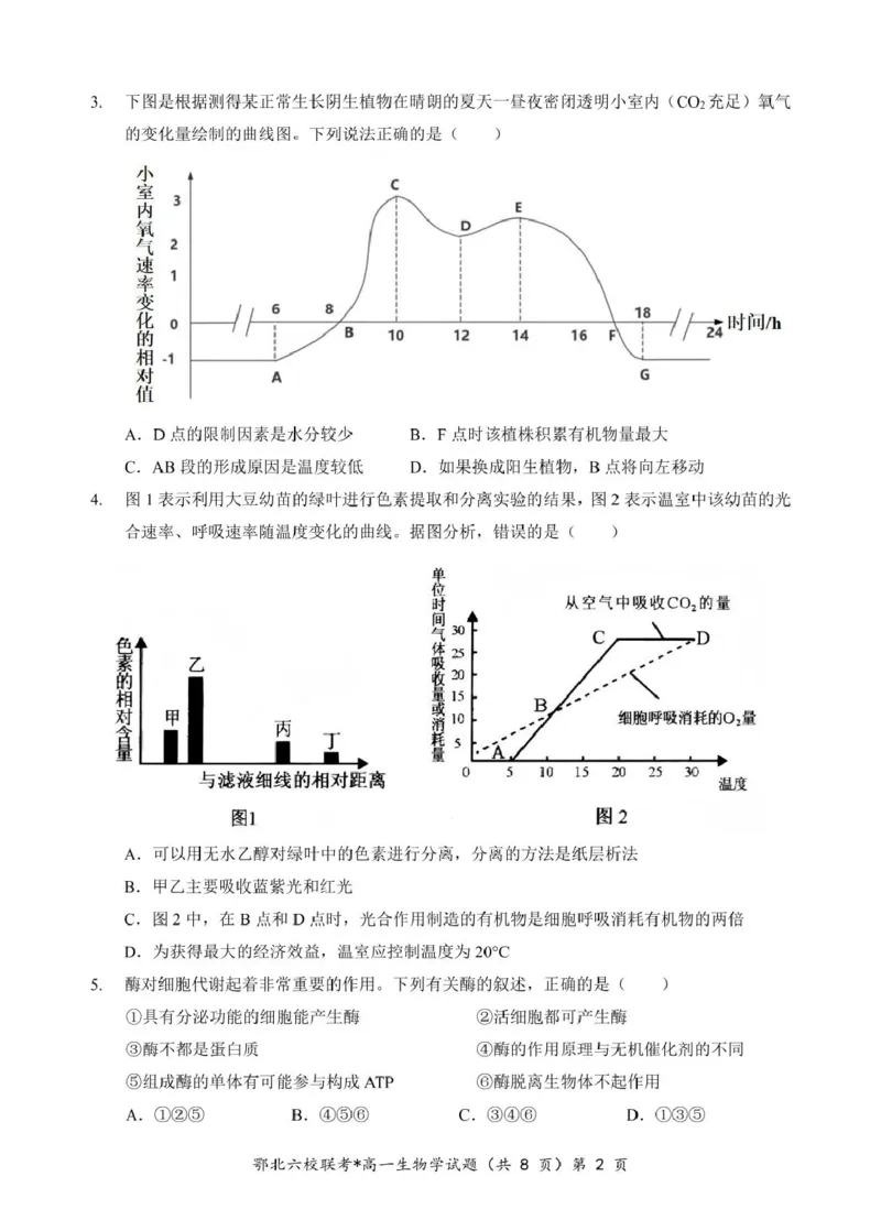湖北省鄂北六校2024-2025学年度高一下学期期中联考生物试题_2025年04月试卷_0426湖北省鄂北六校2024-2025学年高一下学期期中联考