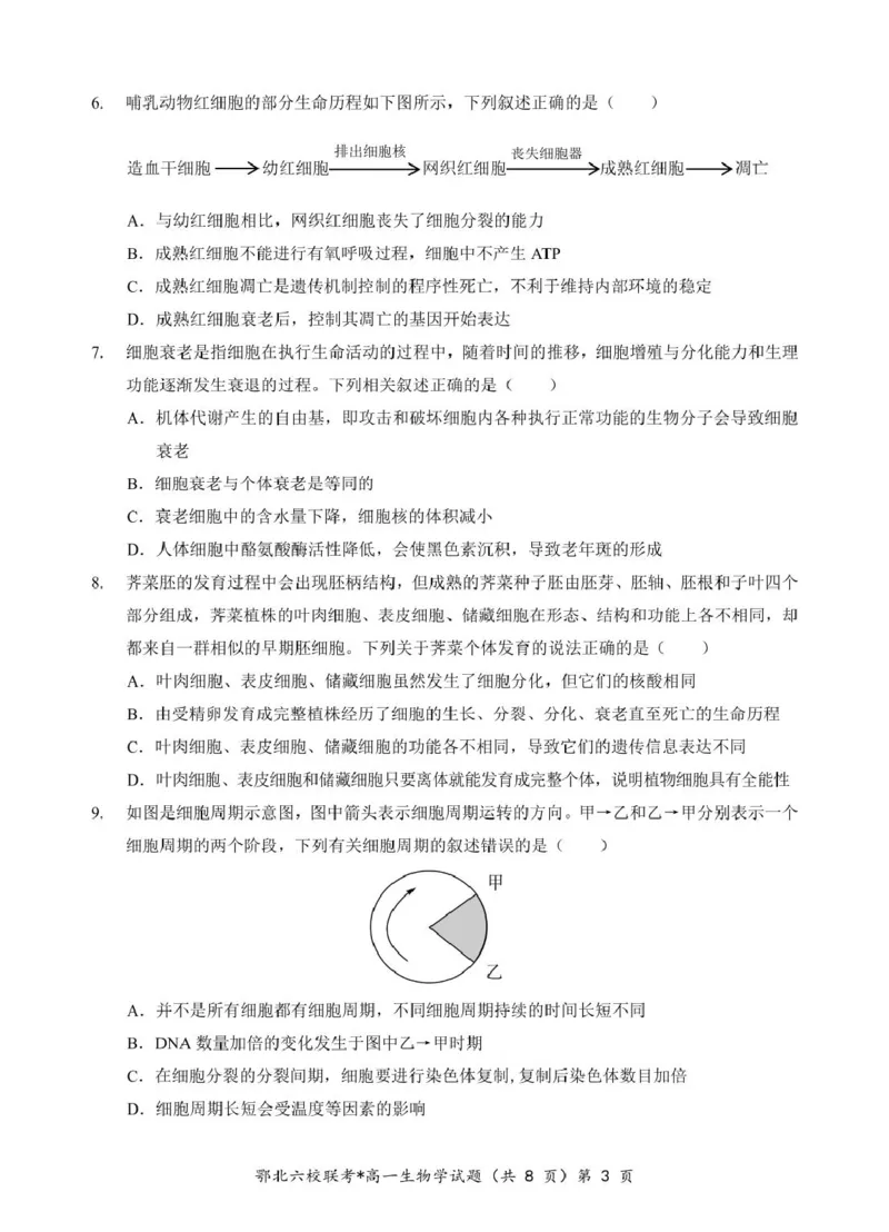 湖北省鄂北六校2024-2025学年度高一下学期期中联考生物试题_2025年04月试卷_0426湖北省鄂北六校2024-2025学年高一下学期期中联考