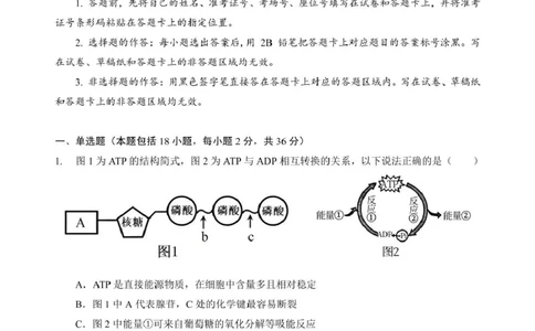 湖北省鄂北六校2024-2025学年度高一下学期期中联考生物试题_2025年04月试卷_0426湖北省鄂北六校2024-2025学年高一下学期期中联考