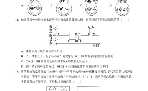 湖北省鄂北六校2024-2025学年度高一下学期期中联考生物试题_2025年04月试卷_0426湖北省鄂北六校2024-2025学年高一下学期期中联考