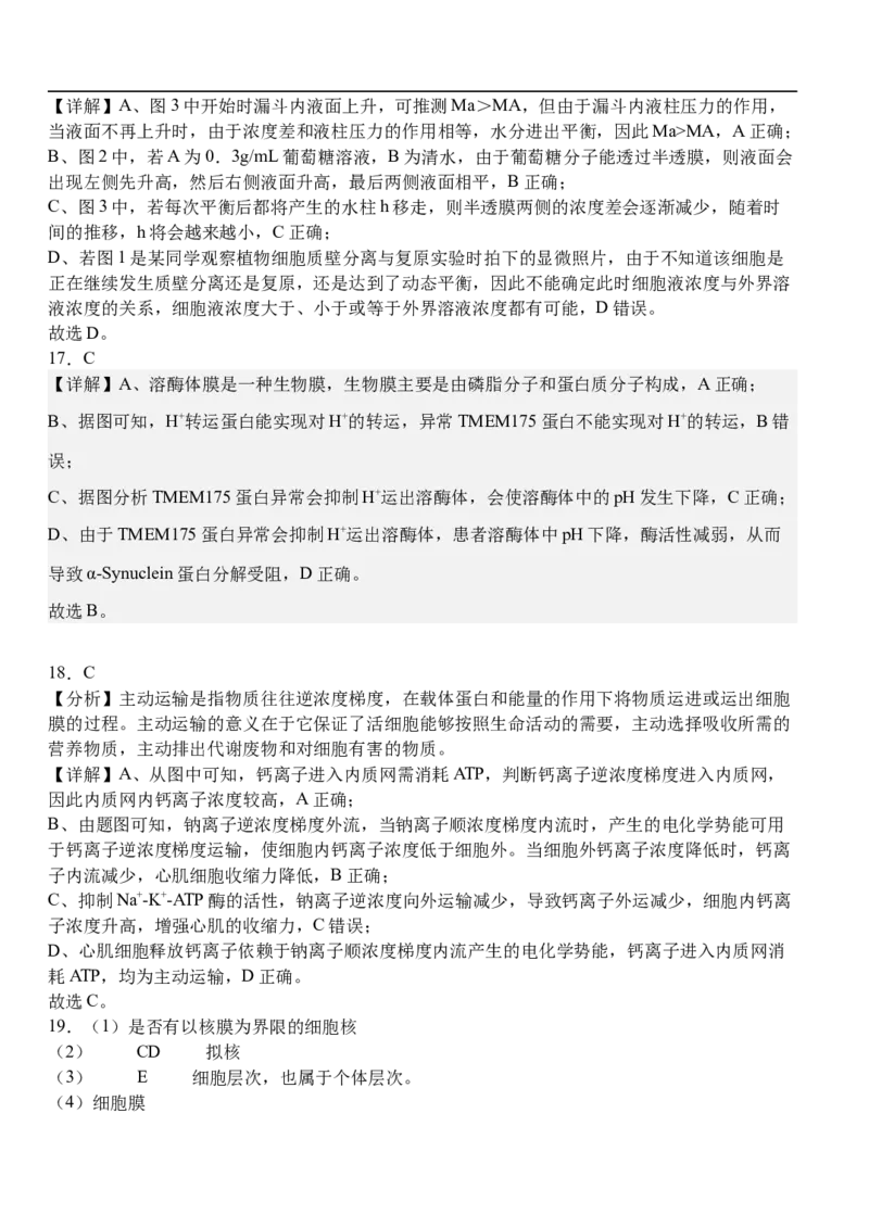 湖北省荆州市沙市中学2025-2026学年高一上学期11月期中生物试题_2025年12月高一试卷_251201湖北省荆州市沙市中学2025-2026学年高一上学期11月期中（全）