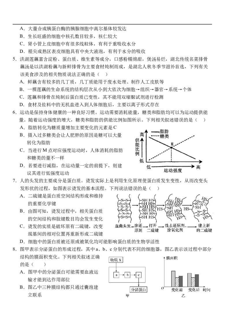 湖北省荆州市沙市中学2025-2026学年高一上学期11月期中生物试题_2025年12月高一试卷_251201湖北省荆州市沙市中学2025-2026学年高一上学期11月期中（全）