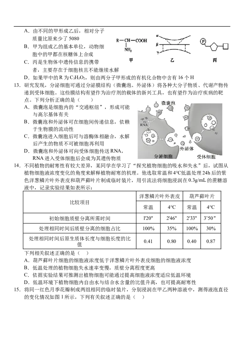 湖北省荆州市沙市中学2025-2026学年高一上学期11月期中生物试题_2025年12月高一试卷_251201湖北省荆州市沙市中学2025-2026学年高一上学期11月期中（全）