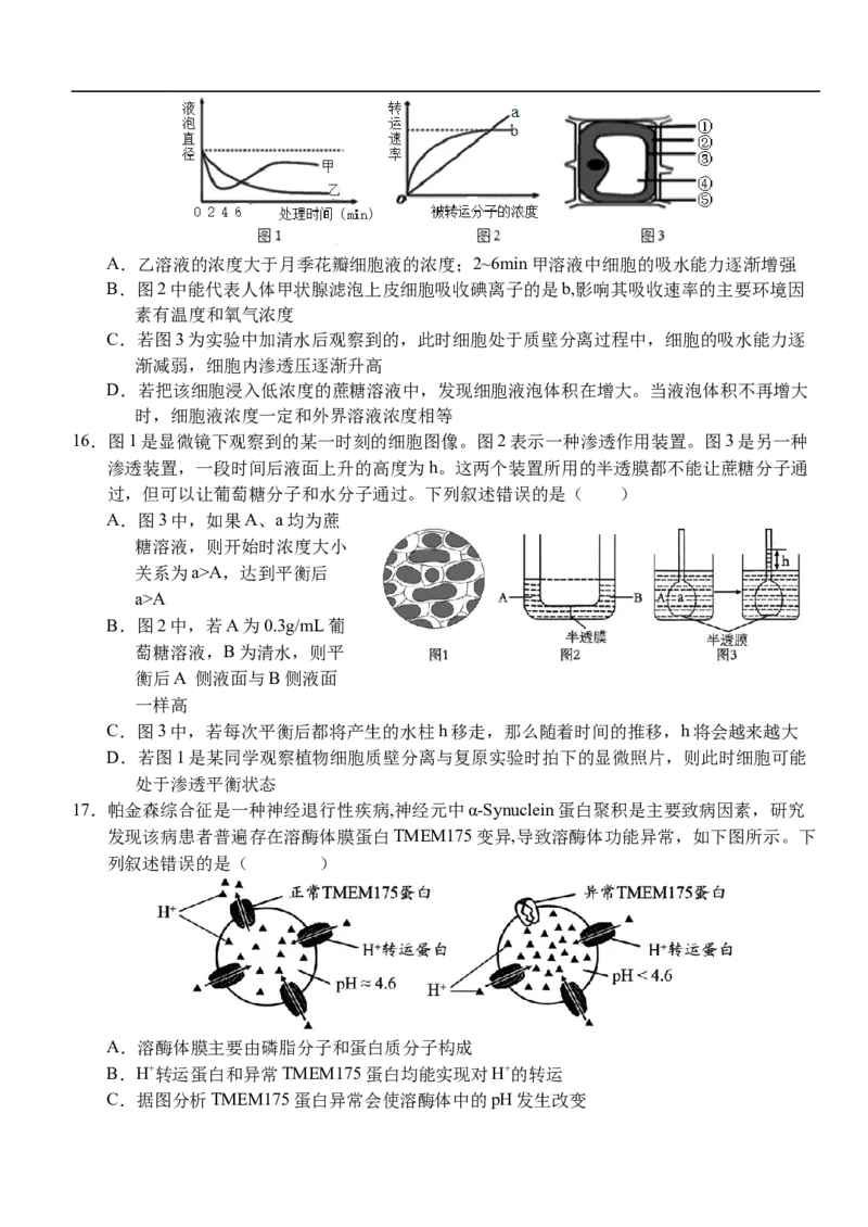 湖北省荆州市沙市中学2025-2026学年高一上学期11月期中生物试题_2025年12月高一试卷_251201湖北省荆州市沙市中学2025-2026学年高一上学期11月期中（全）