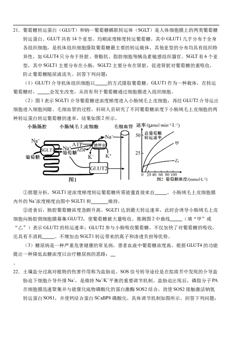 湖北省荆州市沙市中学2025-2026学年高一上学期11月期中生物试题_2025年12月高一试卷_251201湖北省荆州市沙市中学2025-2026学年高一上学期11月期中（全）