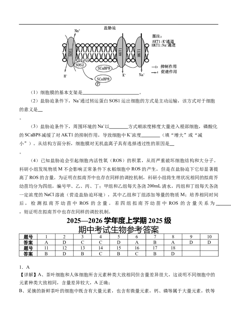 湖北省荆州市沙市中学2025-2026学年高一上学期11月期中生物试题_2025年12月高一试卷_251201湖北省荆州市沙市中学2025-2026学年高一上学期11月期中（全）