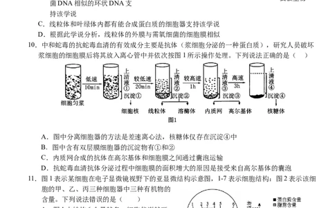 湖北省荆州市沙市中学2025-2026学年高一上学期11月期中生物试题_2025年12月高一试卷_251201湖北省荆州市沙市中学2025-2026学年高一上学期11月期中（全）