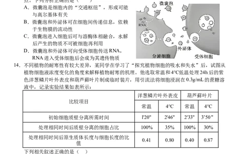 湖北省荆州市沙市中学2025-2026学年高一上学期11月期中生物试题_2025年12月高一试卷_251201湖北省荆州市沙市中学2025-2026学年高一上学期11月期中（全）