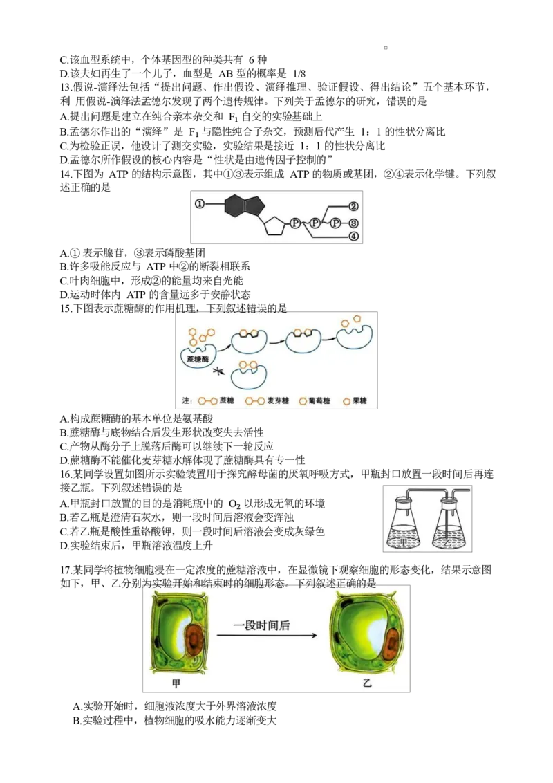 浙江省浙南名校联盟2024-2025学年高一下学期返校联考生物试题_2025年02月试卷_0223浙江省温州市浙南名校联盟2024-2025学年高一下学期2月开学考试