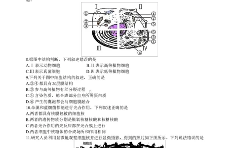 浙江省浙南名校联盟2024-2025学年高一下学期返校联考生物试题_2025年02月试卷_0223浙江省温州市浙南名校联盟2024-2025学年高一下学期2月开学考试