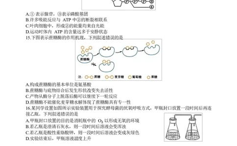 浙江省浙南名校联盟2024-2025学年高一下学期返校联考生物试题_2025年02月试卷_0223浙江省温州市浙南名校联盟2024-2025学年高一下学期2月开学考试