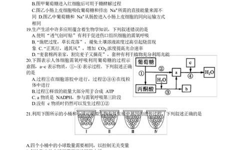 浙江省浙南名校联盟2024-2025学年高一下学期返校联考生物试题_2025年02月试卷_0223浙江省温州市浙南名校联盟2024-2025学年高一下学期2月开学考试