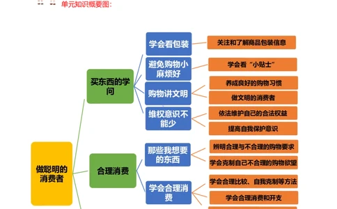 第二单元做聪明的消费者（知识点归纳梳理）_A493小学道法_26新四年级道法下册（统编版）_知识总结-K37_2024版