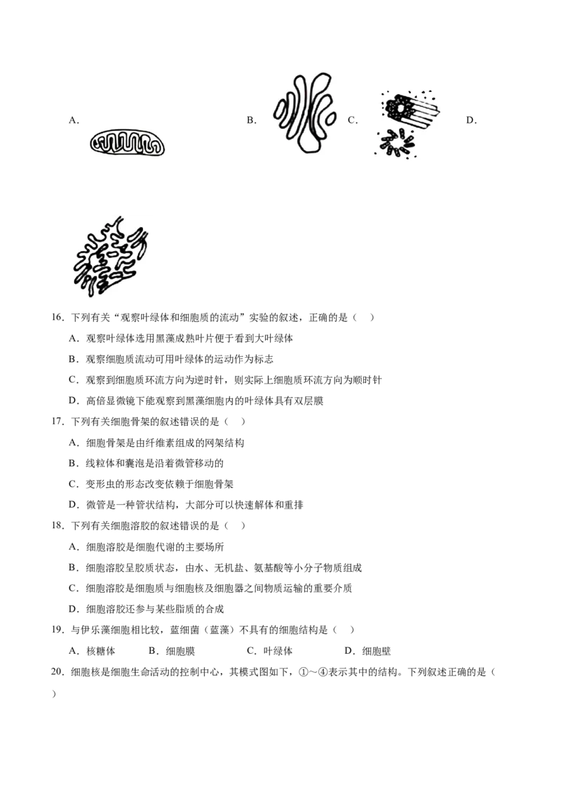 浙江省温州十校2025-2026学年高一上学期11月期中联考生物学试卷（含答案）_2025年12月高一试卷_251208浙江省温州十校联合体2025-2026学年高一上学期11月期中（全）