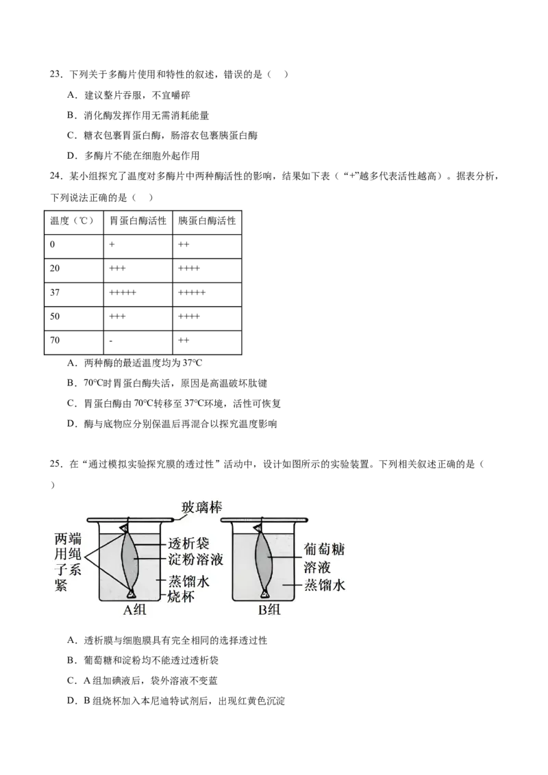 浙江省温州十校2025-2026学年高一上学期11月期中联考生物学试卷（含答案）_2025年12月高一试卷_251208浙江省温州十校联合体2025-2026学年高一上学期11月期中（全）