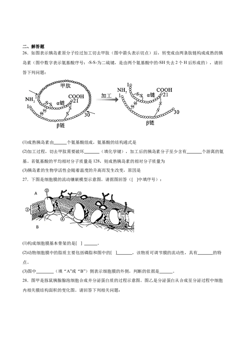 浙江省温州十校2025-2026学年高一上学期11月期中联考生物学试卷（含答案）_2025年12月高一试卷_251208浙江省温州十校联合体2025-2026学年高一上学期11月期中（全）