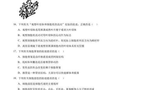 浙江省温州十校2025-2026学年高一上学期11月期中联考生物学试卷（含答案）_2025年12月高一试卷_251208浙江省温州十校联合体2025-2026学年高一上学期11月期中（全）