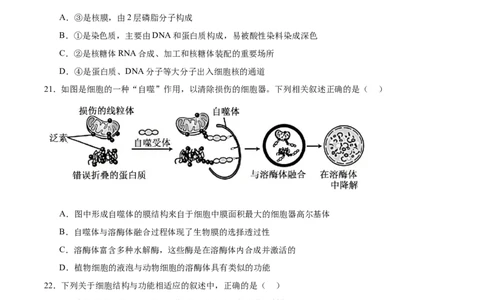 浙江省温州十校2025-2026学年高一上学期11月期中联考生物学试卷（含答案）_2025年12月高一试卷_251208浙江省温州十校联合体2025-2026学年高一上学期11月期中（全）
