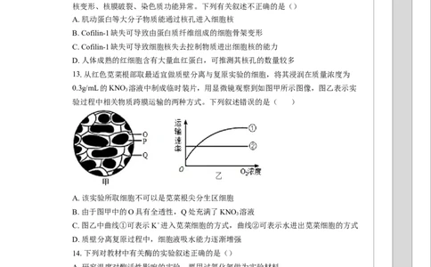 湖北省孝感市汉川市汉川市金益高级中学2025-2026学年高一上学期12月月考生物试题_2026年01月高一试卷_260111湖北省孝感市汉川市金益高级中学2025-2026学年高一上学期12月月考