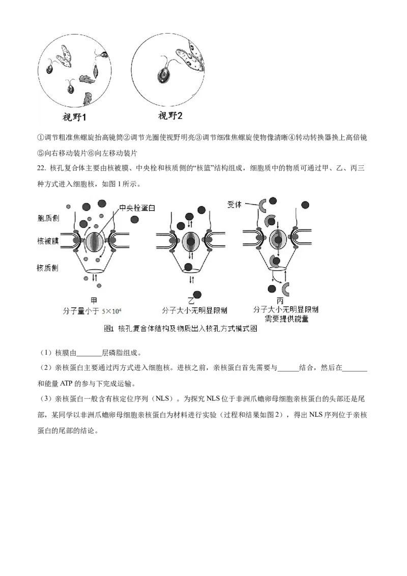 湖北省荆州市沙市中学2025-2026学年高一上学期10月月考生物试题（原卷版）_2025年11月高一试卷_251103湖北省荆州市沙市中学2025-2026学年高一上学期10月月考（全）