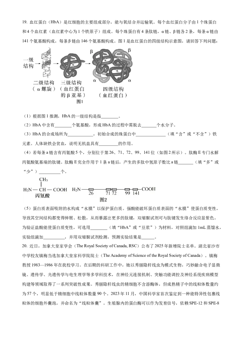 湖北省荆州市沙市中学2025-2026学年高一上学期10月月考生物试题（原卷版）_2025年11月高一试卷_251103湖北省荆州市沙市中学2025-2026学年高一上学期10月月考（全）