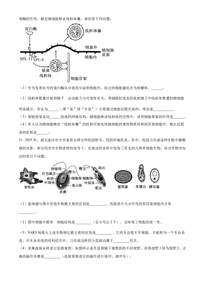湖北省荆州市沙市中学2025-2026学年高一上学期10月月考生物试题（原卷版）_2025年11月高一试卷_251103湖北省荆州市沙市中学2025-2026学年高一上学期10月月考（全）