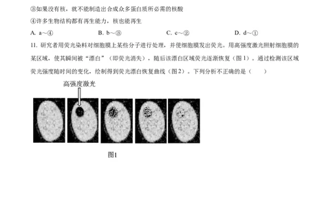 湖北省荆州市沙市中学2025-2026学年高一上学期10月月考生物试题（原卷版）_2025年11月高一试卷_251103湖北省荆州市沙市中学2025-2026学年高一上学期10月月考（全）
