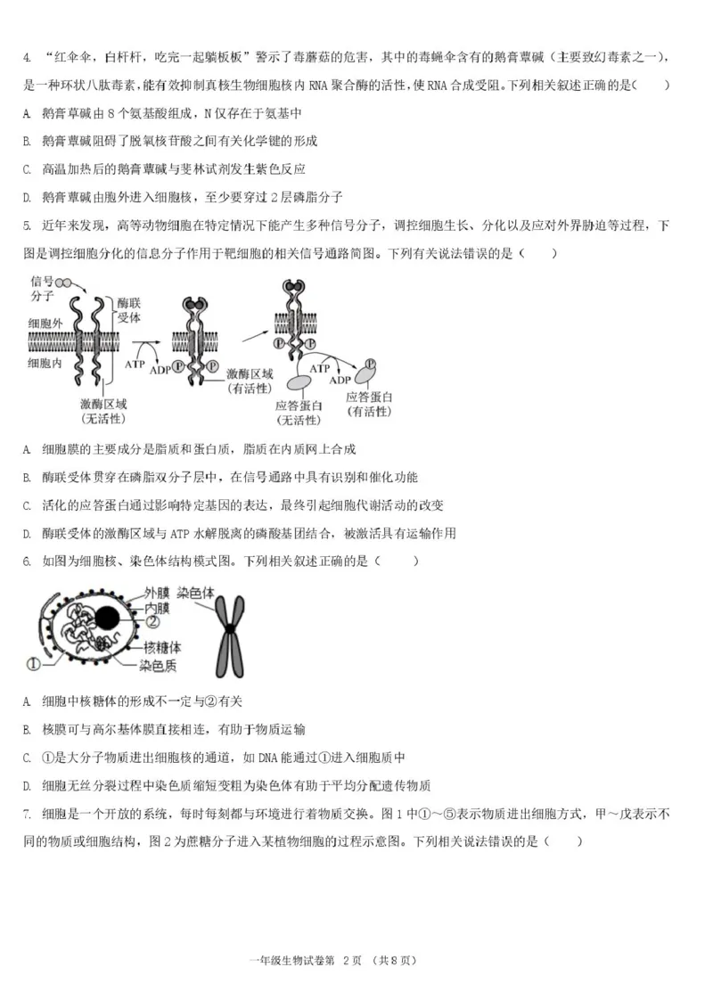 湖北省宜昌市部分省级示范高中2024-2025学年高一下学期4月期中检测生物试题_2025年05月试卷_0517湖北省宜昌市部分省级示范高中2024-2025学年高一下学期4月期中联合考试