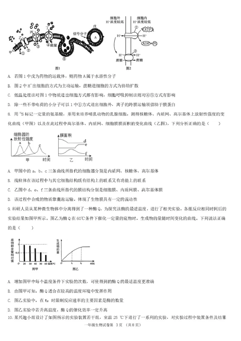 湖北省宜昌市部分省级示范高中2024-2025学年高一下学期4月期中检测生物试题_2025年05月试卷_0517湖北省宜昌市部分省级示范高中2024-2025学年高一下学期4月期中联合考试
