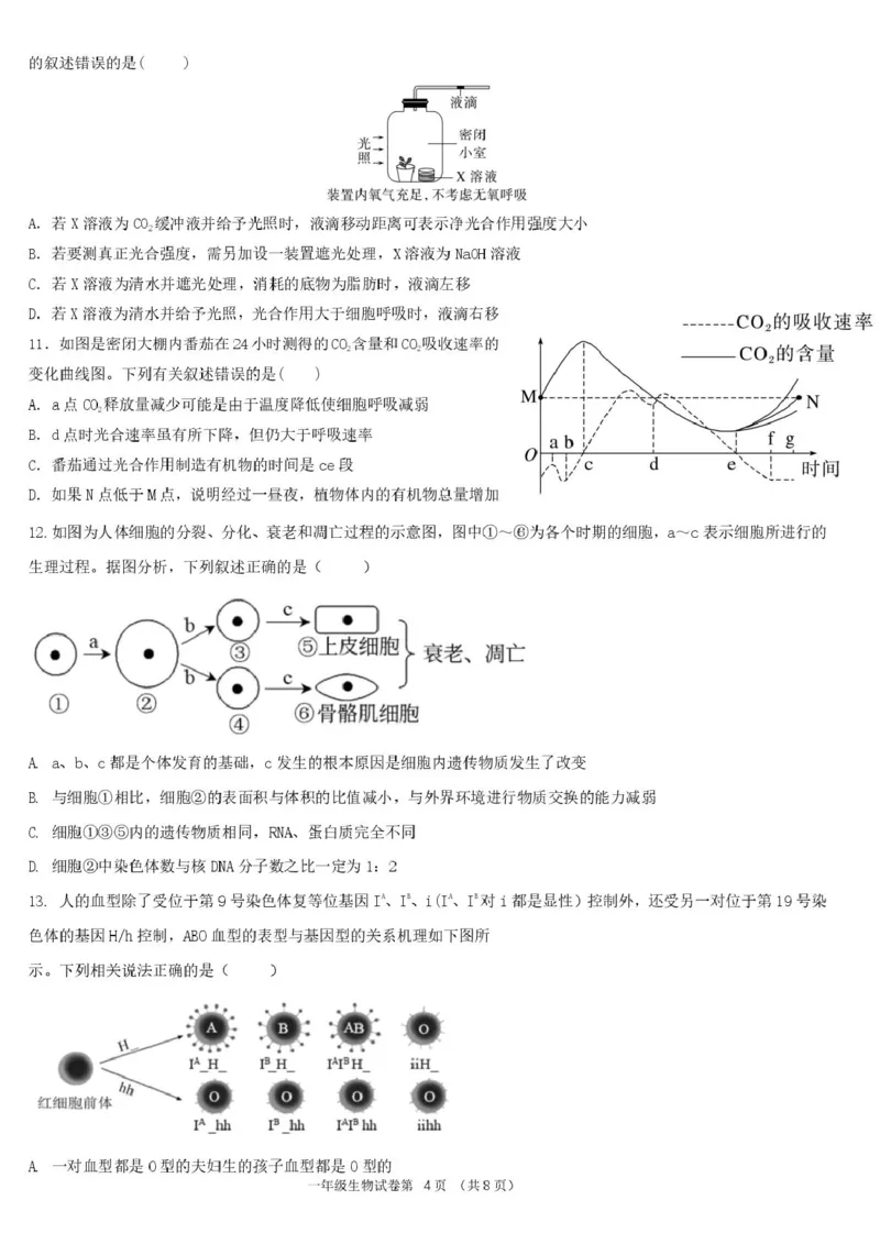 湖北省宜昌市部分省级示范高中2024-2025学年高一下学期4月期中检测生物试题_2025年05月试卷_0517湖北省宜昌市部分省级示范高中2024-2025学年高一下学期4月期中联合考试