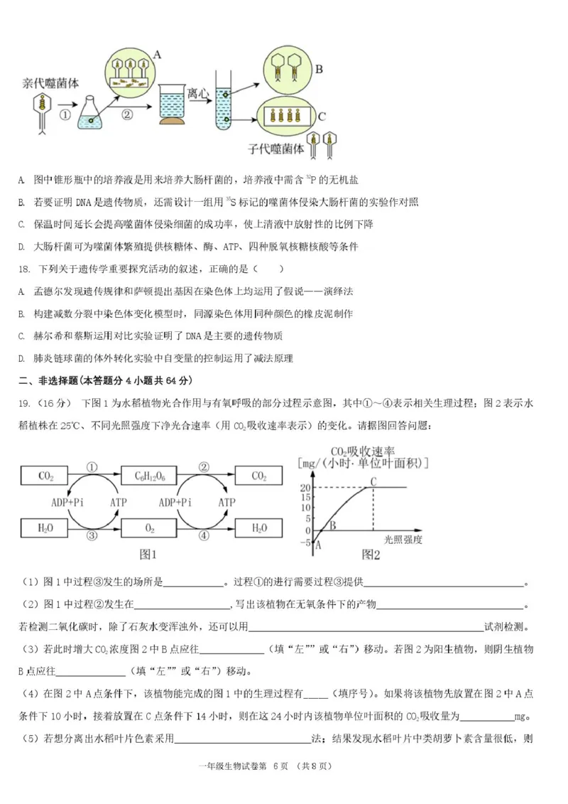 湖北省宜昌市部分省级示范高中2024-2025学年高一下学期4月期中检测生物试题_2025年05月试卷_0517湖北省宜昌市部分省级示范高中2024-2025学年高一下学期4月期中联合考试