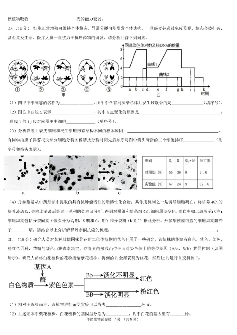 湖北省宜昌市部分省级示范高中2024-2025学年高一下学期4月期中检测生物试题_2025年05月试卷_0517湖北省宜昌市部分省级示范高中2024-2025学年高一下学期4月期中联合考试
