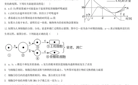 湖北省宜昌市部分省级示范高中2024-2025学年高一下学期4月期中检测生物试题_2025年05月试卷_0517湖北省宜昌市部分省级示范高中2024-2025学年高一下学期4月期中联合考试