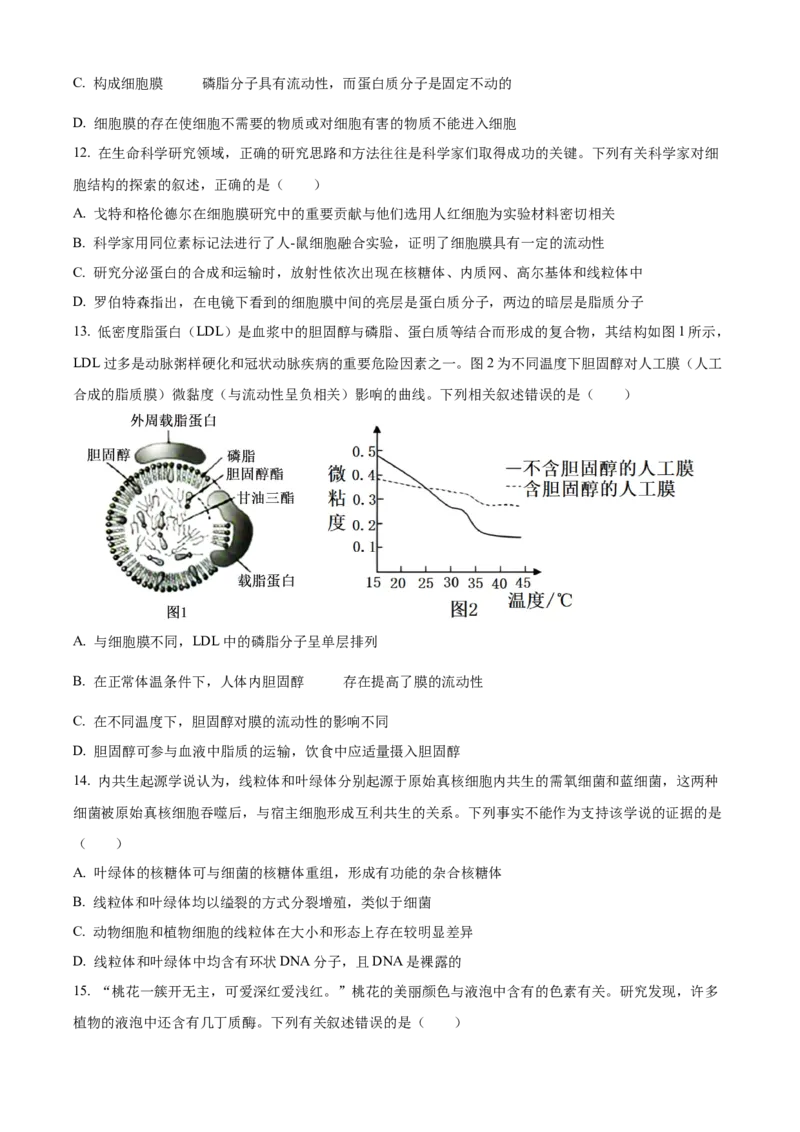 海南省2024-2025学年高一上学期11月期中生物试题Word版无答案_2024年11月试卷_1130海南省部分高中2024-2025学年高一上学期阶段性教学检测（一）