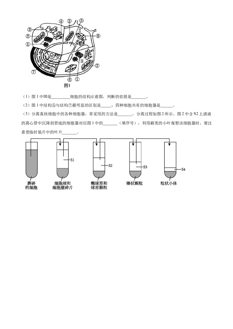 海南省2024-2025学年高一上学期11月期中生物试题Word版无答案_2024年11月试卷_1130海南省部分高中2024-2025学年高一上学期阶段性教学检测（一）