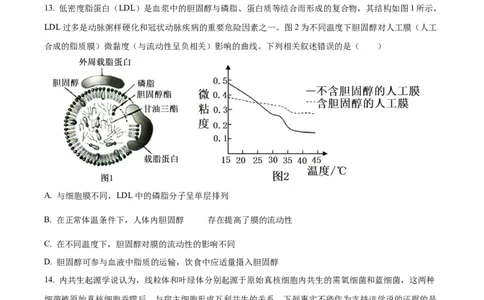 海南省2024-2025学年高一上学期11月期中生物试题Word版无答案_2024年11月试卷_1130海南省部分高中2024-2025学年高一上学期阶段性教学检测（一）