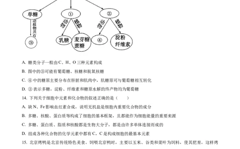 湖北省十堰市郧阳中学2025-2026学年高一上学期10月第一次考试生物试题（原卷版）_2025年11月高一试卷_251112湖北省十堰市郧阳中学2025-2026学年高一上学期期中考试（全）