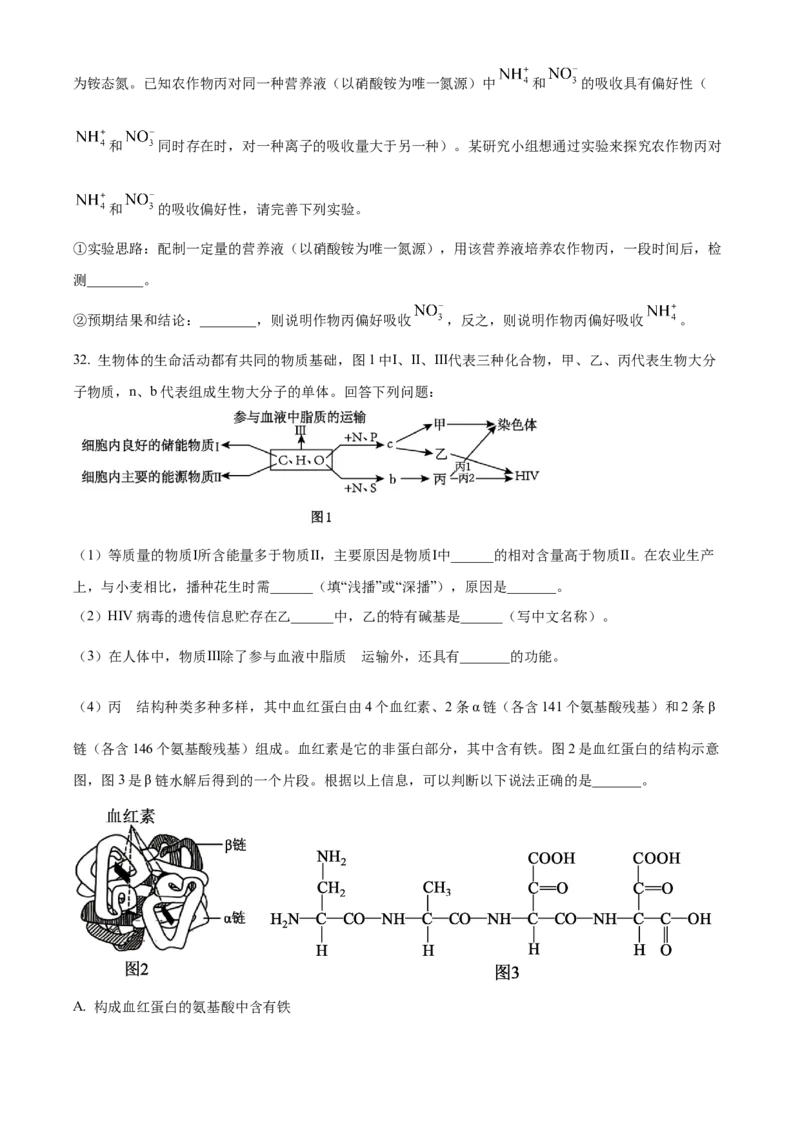 湖北省十堰市郧阳中学2025-2026学年高一上学期10月第一次考试生物试题（原卷版）_2025年11月高一试卷_251112湖北省十堰市郧阳中学2025-2026学年高一上学期期中考试（全）