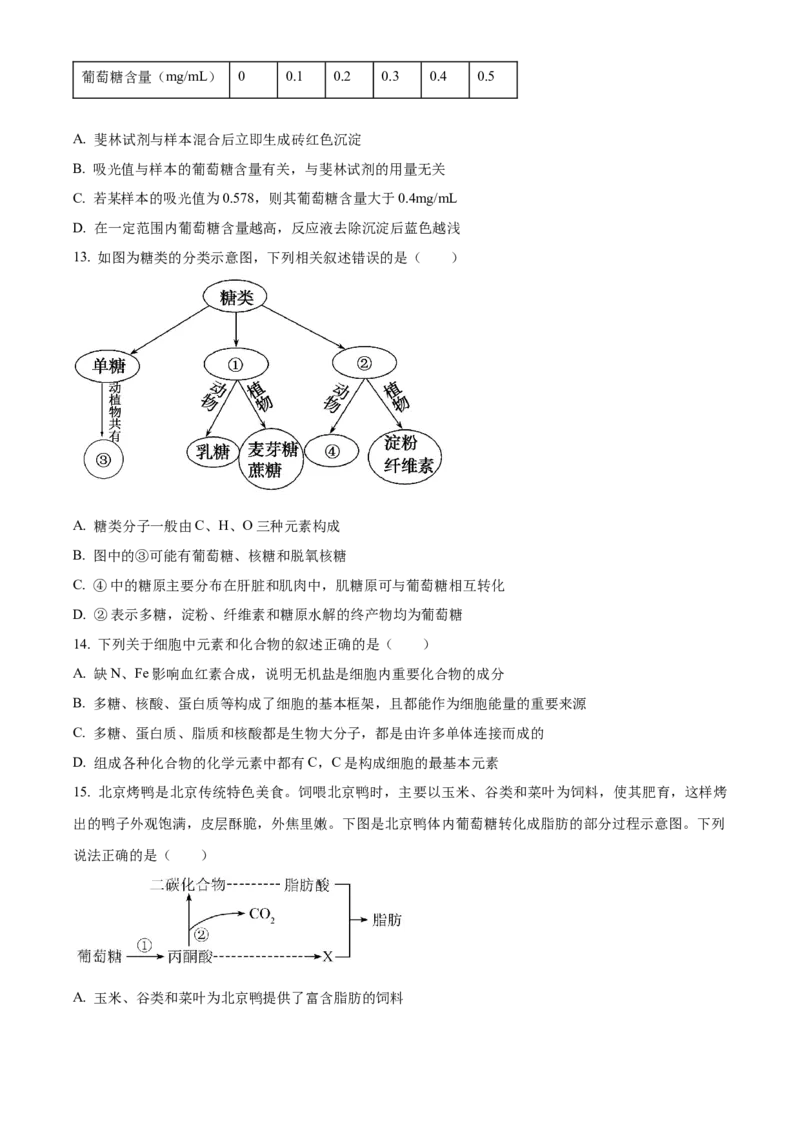 湖北省十堰市郧阳中学2025-2026学年高一上学期10月第一次考试生物试题（原卷版）_2025年11月高一试卷_251112湖北省十堰市郧阳中学2025-2026学年高一上学期期中考试（全）