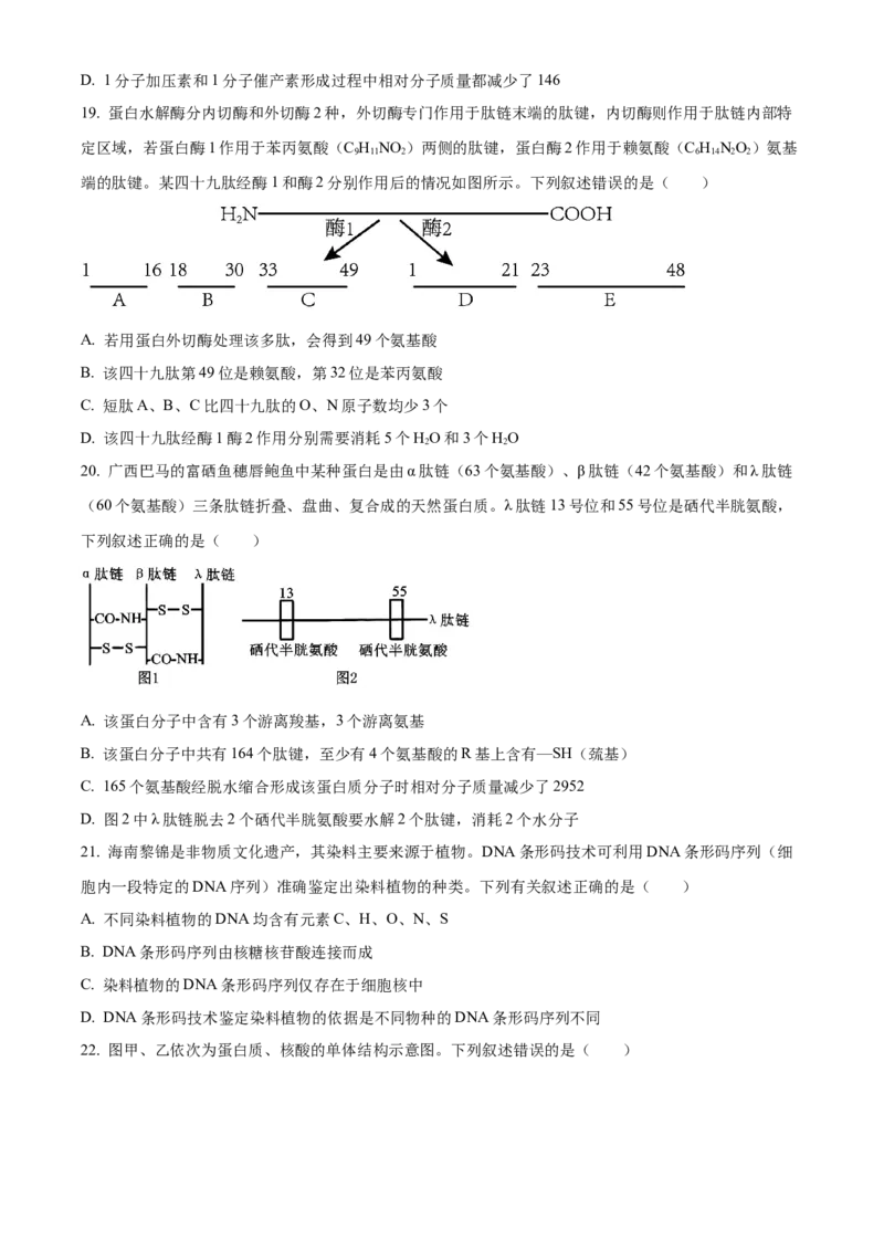 湖北省十堰市郧阳中学2025-2026学年高一上学期10月第一次考试生物试题（原卷版）_2025年11月高一试卷_251112湖北省十堰市郧阳中学2025-2026学年高一上学期期中考试（全）