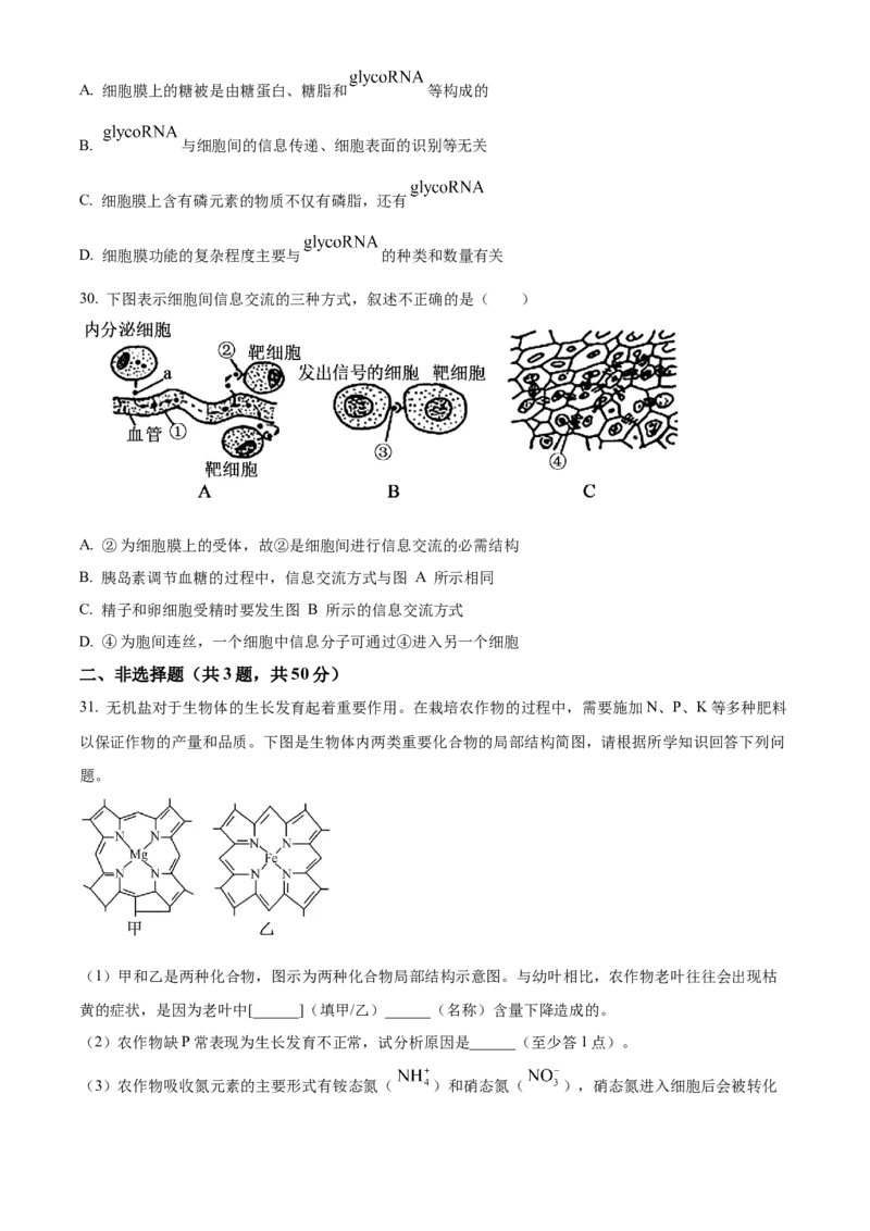 湖北省十堰市郧阳中学2025-2026学年高一上学期10月第一次考试生物试题（原卷版）_2025年11月高一试卷_251112湖北省十堰市郧阳中学2025-2026学年高一上学期期中考试（全）