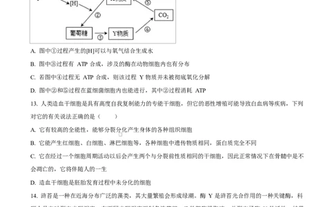 湖北省十堰市六县市区一中教联体学校2024-2025学年高一下学期3月月考生物试题（原卷版）_2025年04月试卷_0415湖北省十堰市六县市一中教联体2024-2025学年高一下学期3月联考